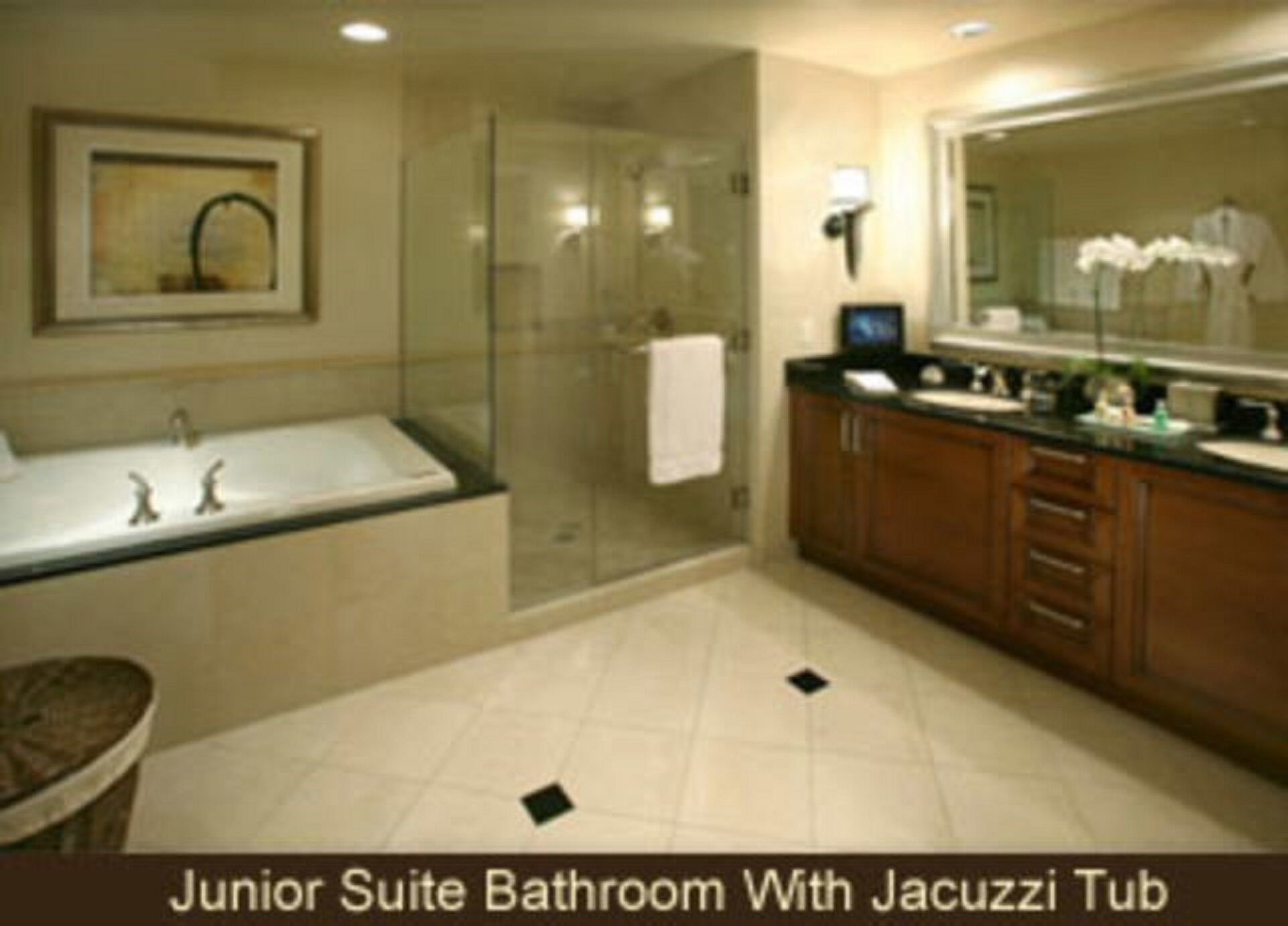 ~MGM~ Signature 1 Bedroom Sleeps 4 No Cleaning Fee