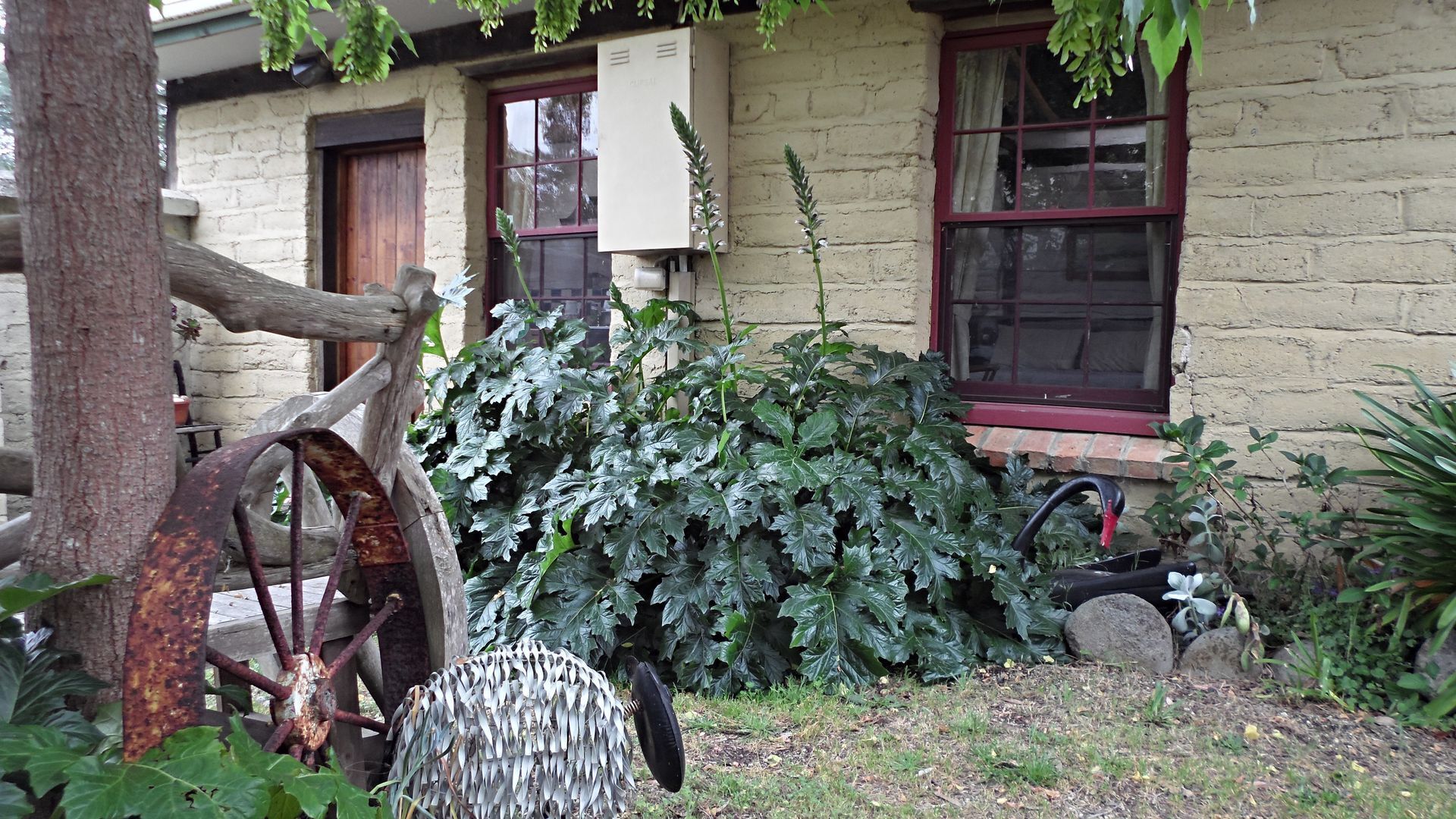 \"WOOLLY BUTT\" BUNGALOW — image 6