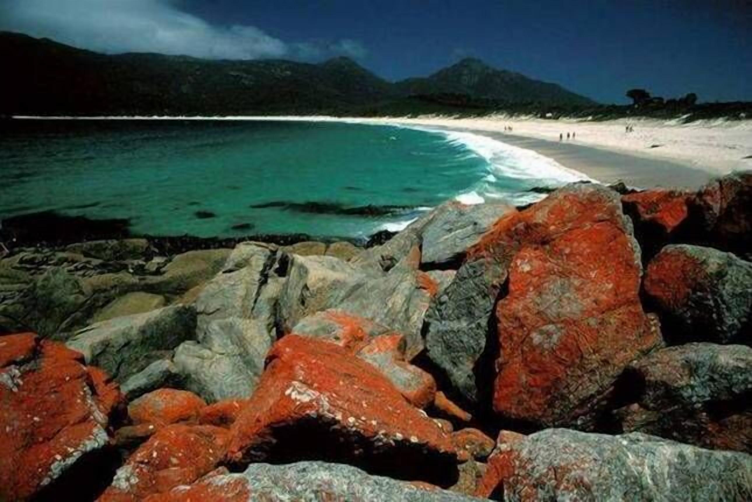 \"WOOLLY BUTT\" BUNGALOW — image 11