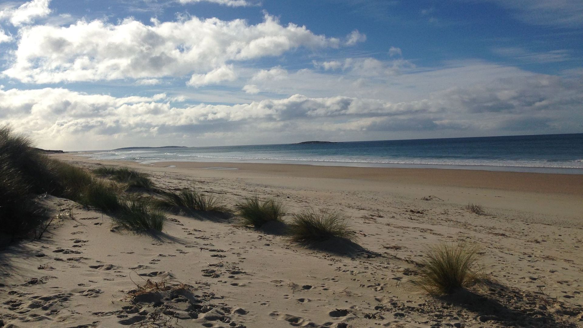 \"WOOLLY BUTT\" BUNGALOW — image 9