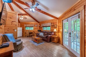 Télévision, cheminée, lecteur de DVD, chaîne hi-fi