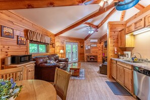 Télévision, cheminée, lecteur de DVD, chaîne hi-fi