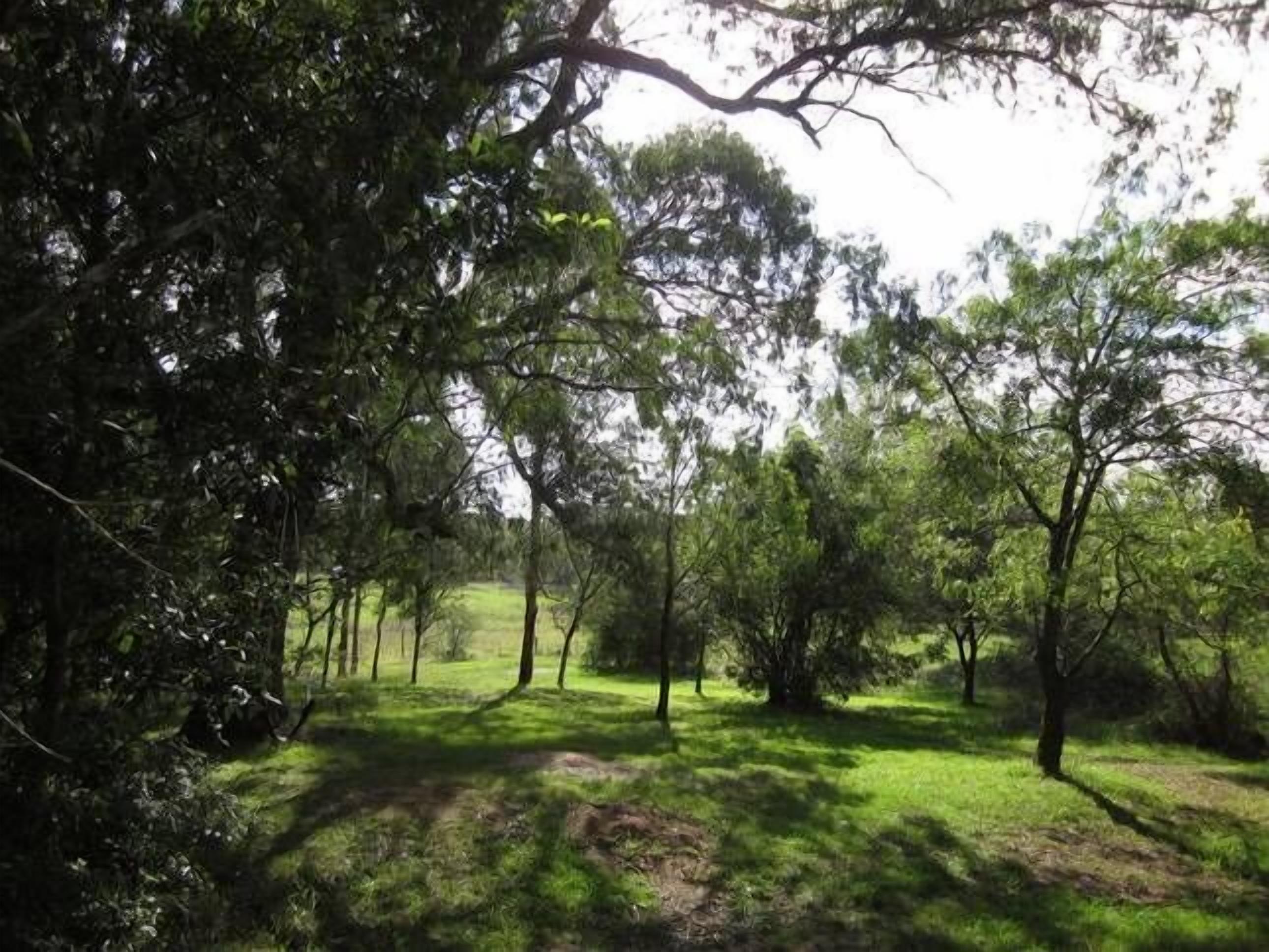 Denham Cottage Bundanoon