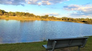 Eine Bank am See mit freiem Blick auf die umliegenden Bäume und den Himmel.