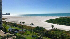 Ein Strand mit freiem Blick auf den Ozean, einem gewundenen Pfad und Palmen.