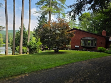 Side of house with Japanese tree