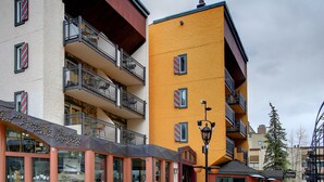 Un edificio a più piani con balconi, un albero in vaso e un cortile in pietra.