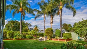 A well-maintained backyard with a lawn, palm trees, and various plants. - Wandew - Echuca Holiday Homes (Echuca)