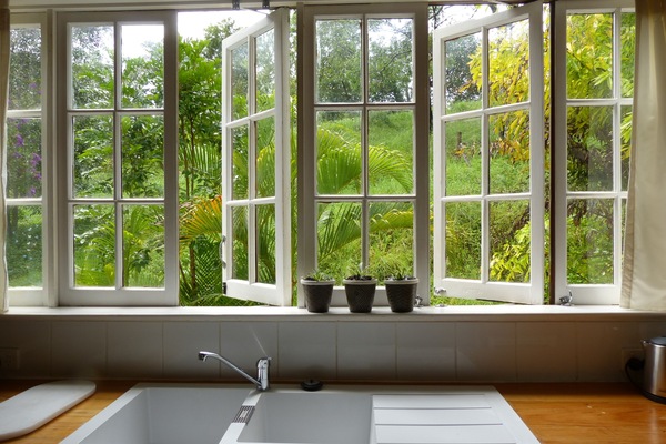 View from the kitchen window