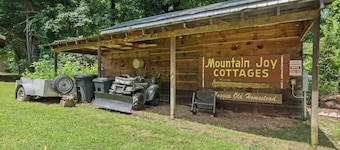MOUNTAIN JOY COTTAGES # 3 - OWL LODGE
