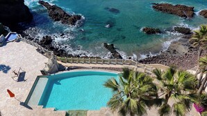 Une piscine à bordures courbes, entourée d’une terrasse en pierre et agrémentée d’un palmier.