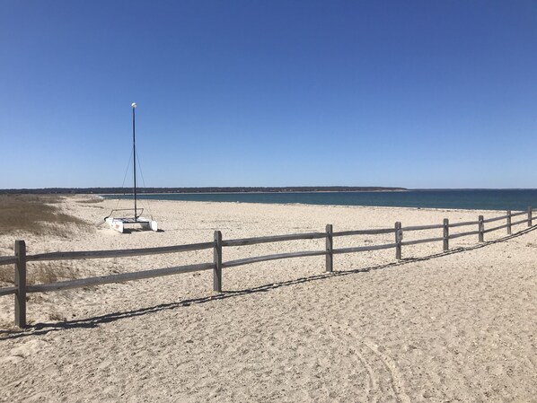 ビーチの近く、サンラウンジャー、ビーチタオル