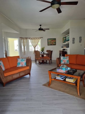 Smart TV, DVD player, books, video library