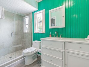 Shower, hair dryer