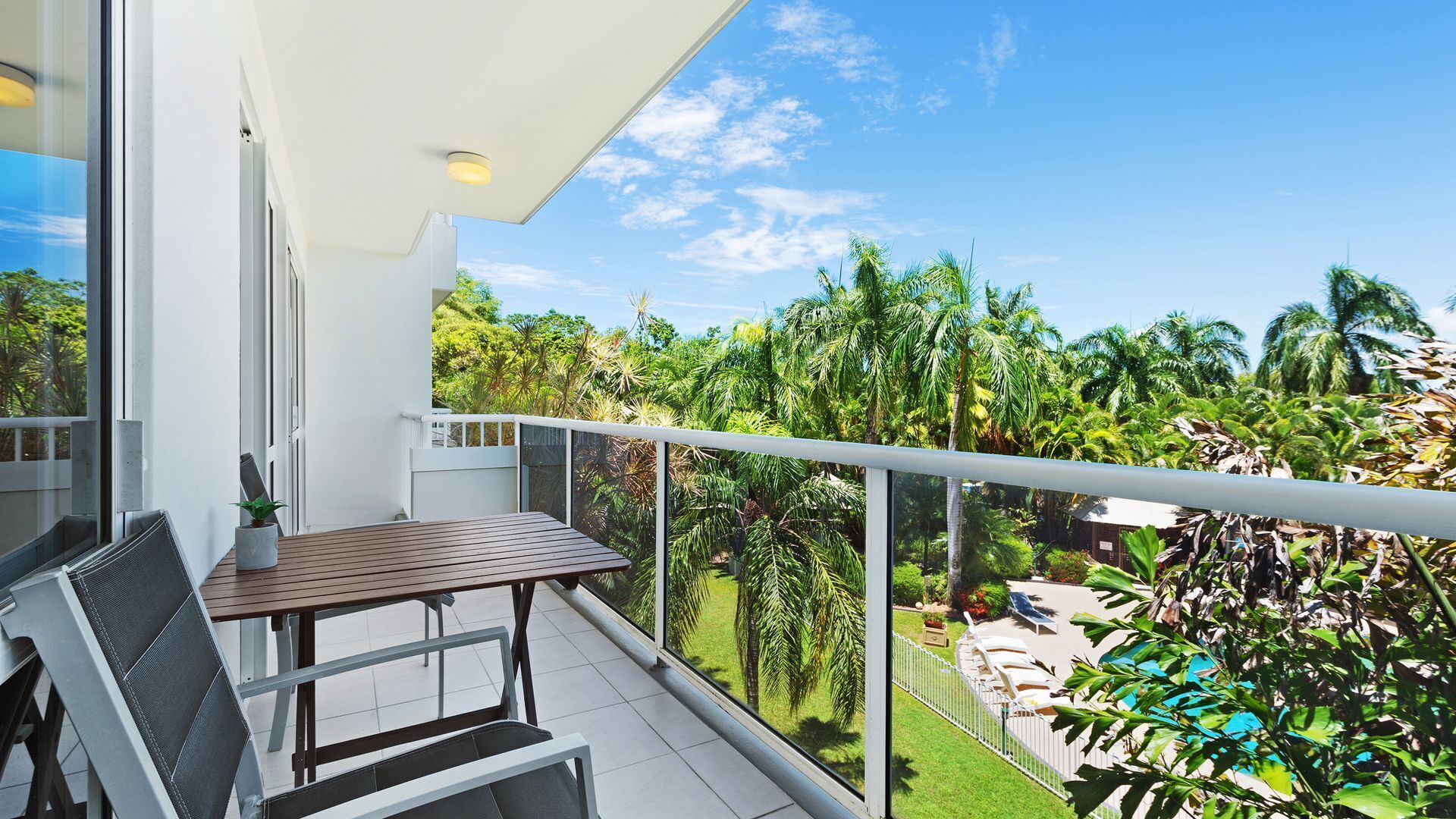 Red Cowrie Coral Coast @ Palm Cove — image 8