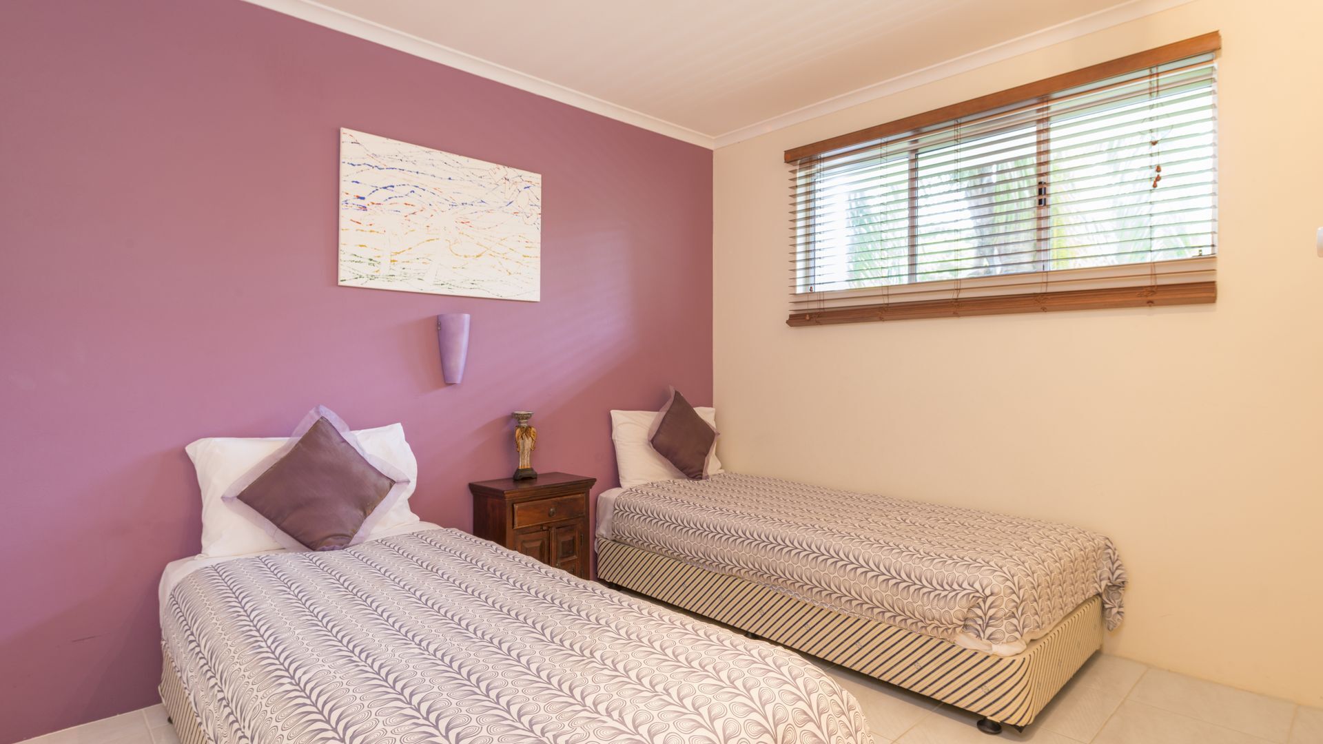 Red Cowrie Coral Coast @ Palm Cove — image 7