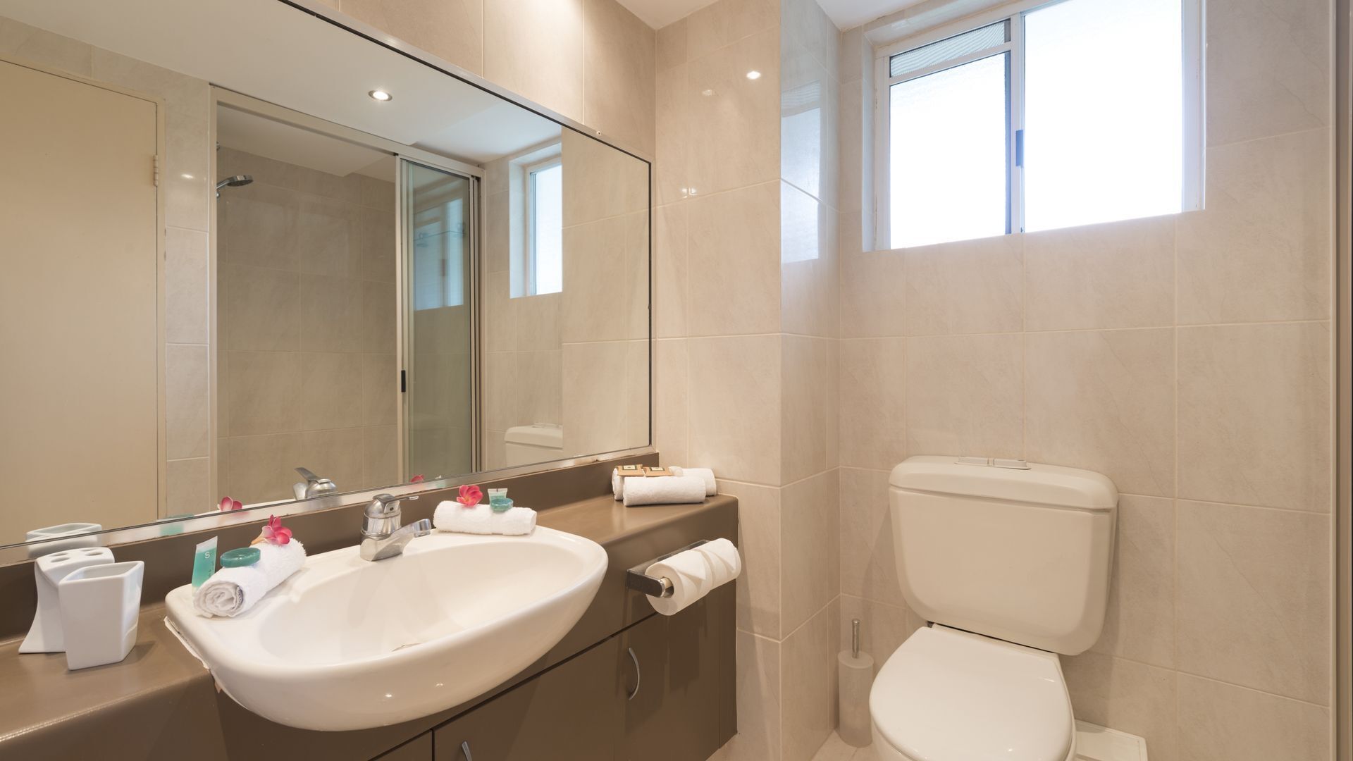 Red Cowrie Coral Coast @ Palm Cove — image 9