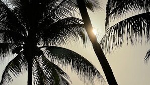 A beach scene with palm trees and the sun setting over the ocean. - South Florida's Intercoastal Waterway (Pompano Beach)
