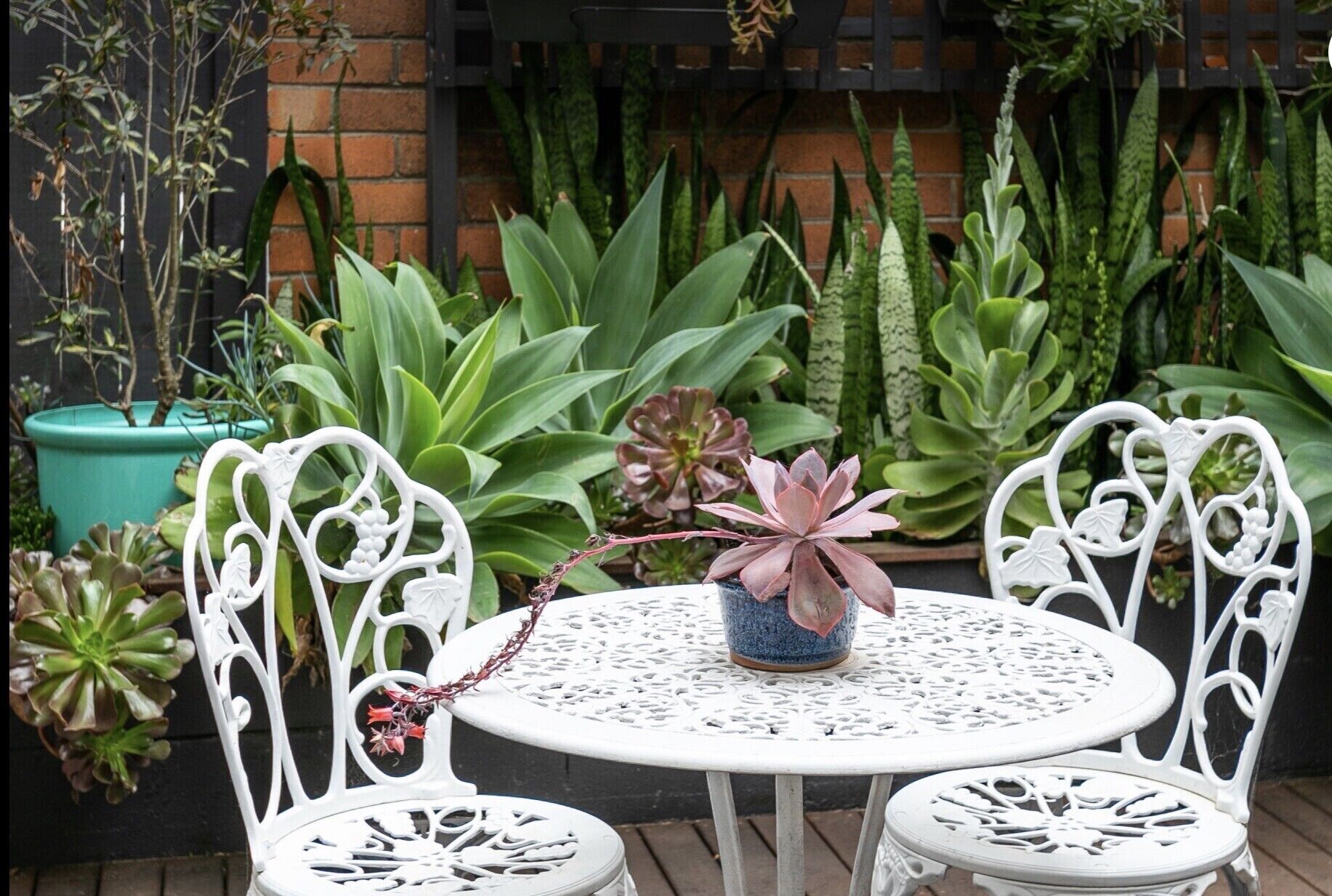 Beach near Manly — image 14