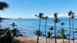 Ein Strand mit Palmen und freiem Blick auf das Meer.