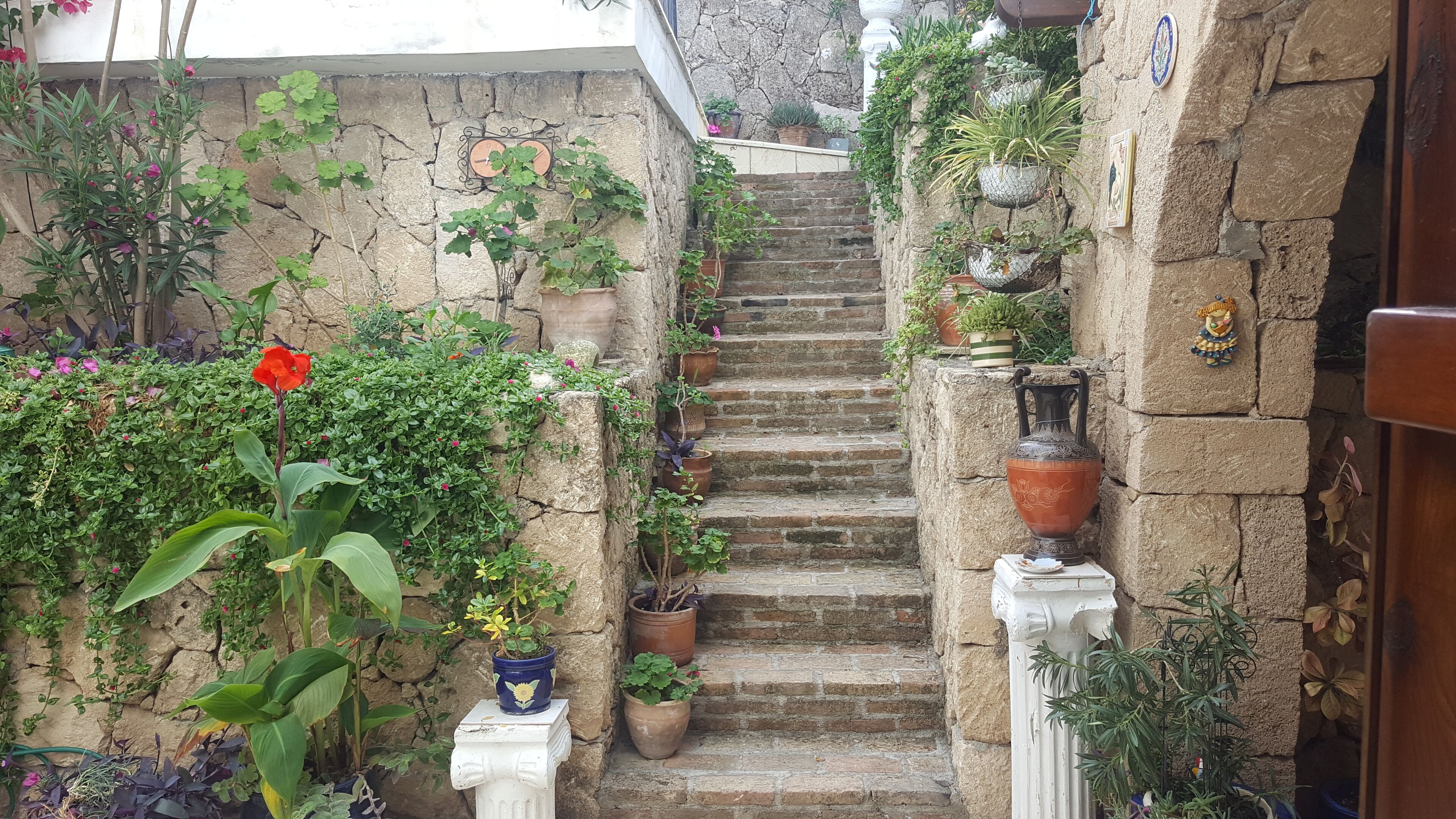 Stairs from patio to the pool..