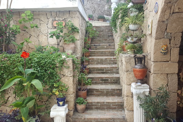Stairs from patio to the pool..