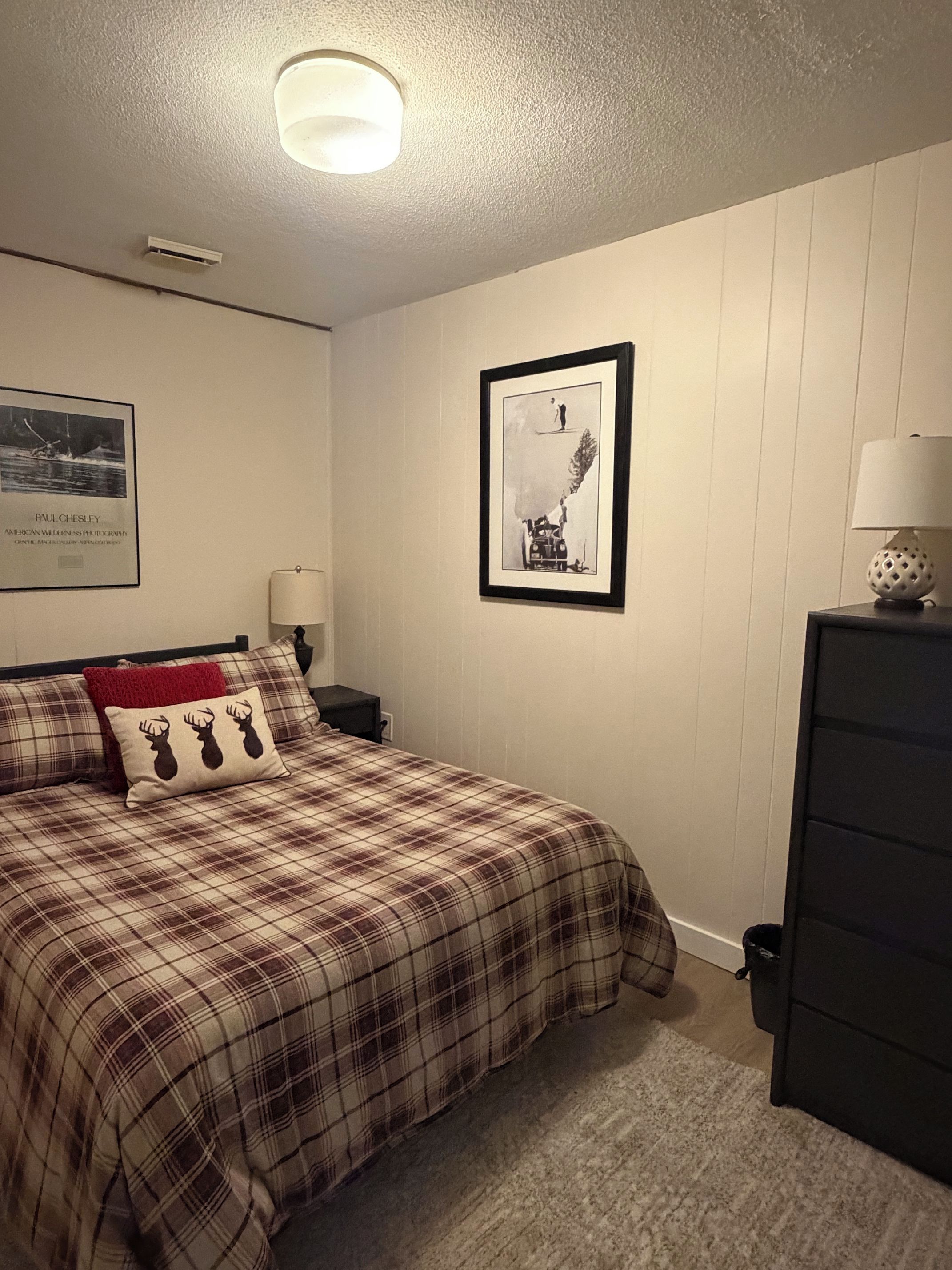 A bedroom with a bed, a nightstand, a dresser, a framed picture on the wall, and a ceiling light.