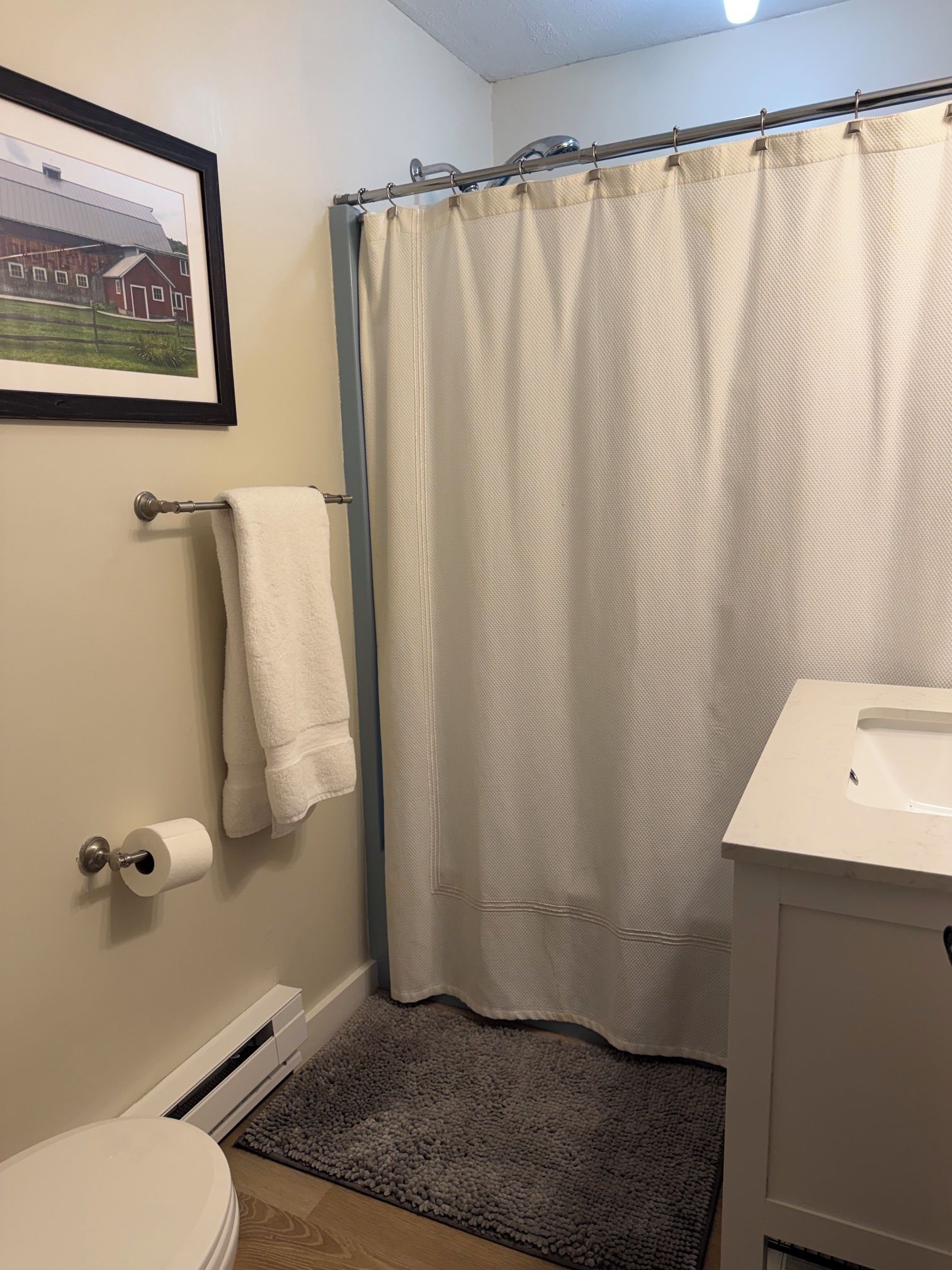 A bathroom with a shower curtain, a toilet, a sink, a framed picture on the wall, and a small rug.