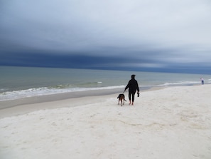 Playa en los alrededores, camastros y toallas de playa 