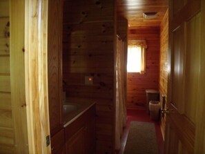 Combined shower/bathtub, hair dryer, towels