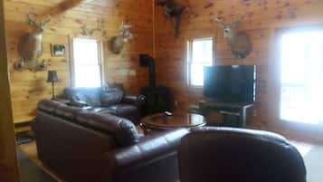 TV, fireplace, DVD player