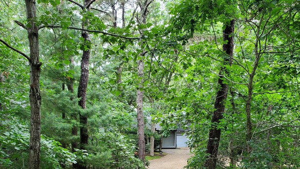 Un chemin de gravier traverse une zone boisée et mène à un bâtiment dont le toit est de couleur grise.