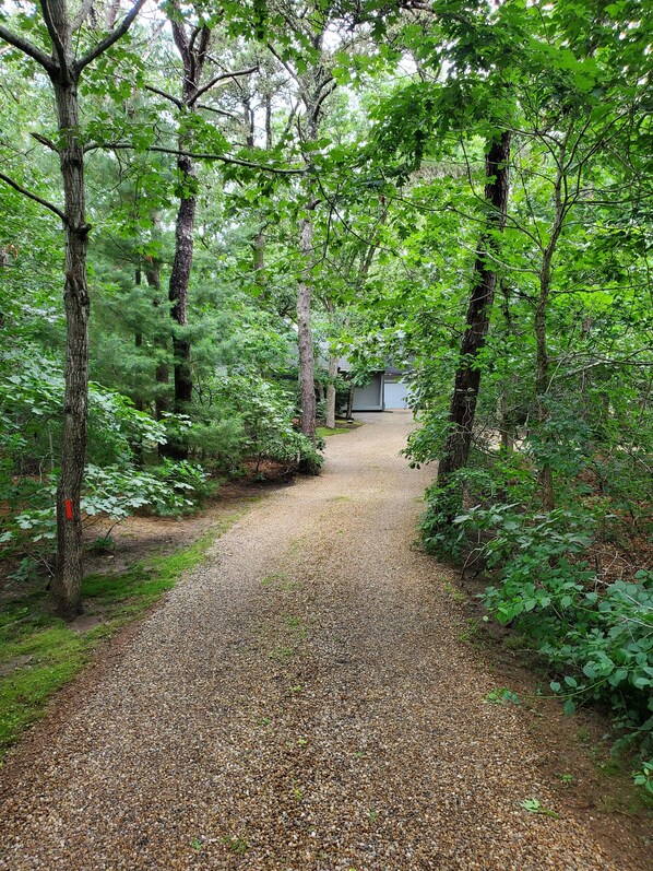 Property grounds - 4Br 3+Baths MV/KatamaEdgartownFamilyDelight & 7 ductless A/C airhandlers (Edgartown)