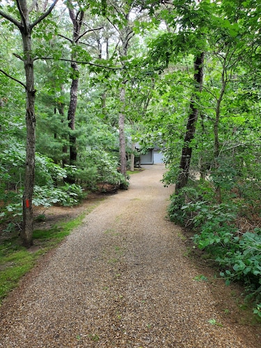 4Br 3+Baths Katama/EdgartownFamilyDelight 7 ductless A/C airhandlers(FerryAvail)