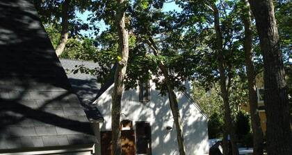 Entradas Family Delight MV / Edgartown With Ferry