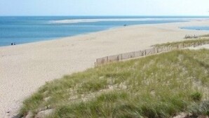 A beach with a sandy shore and grassy dunes. - Chatham-Walk to Town/Beach-Multi Family Friendly (Chatham)