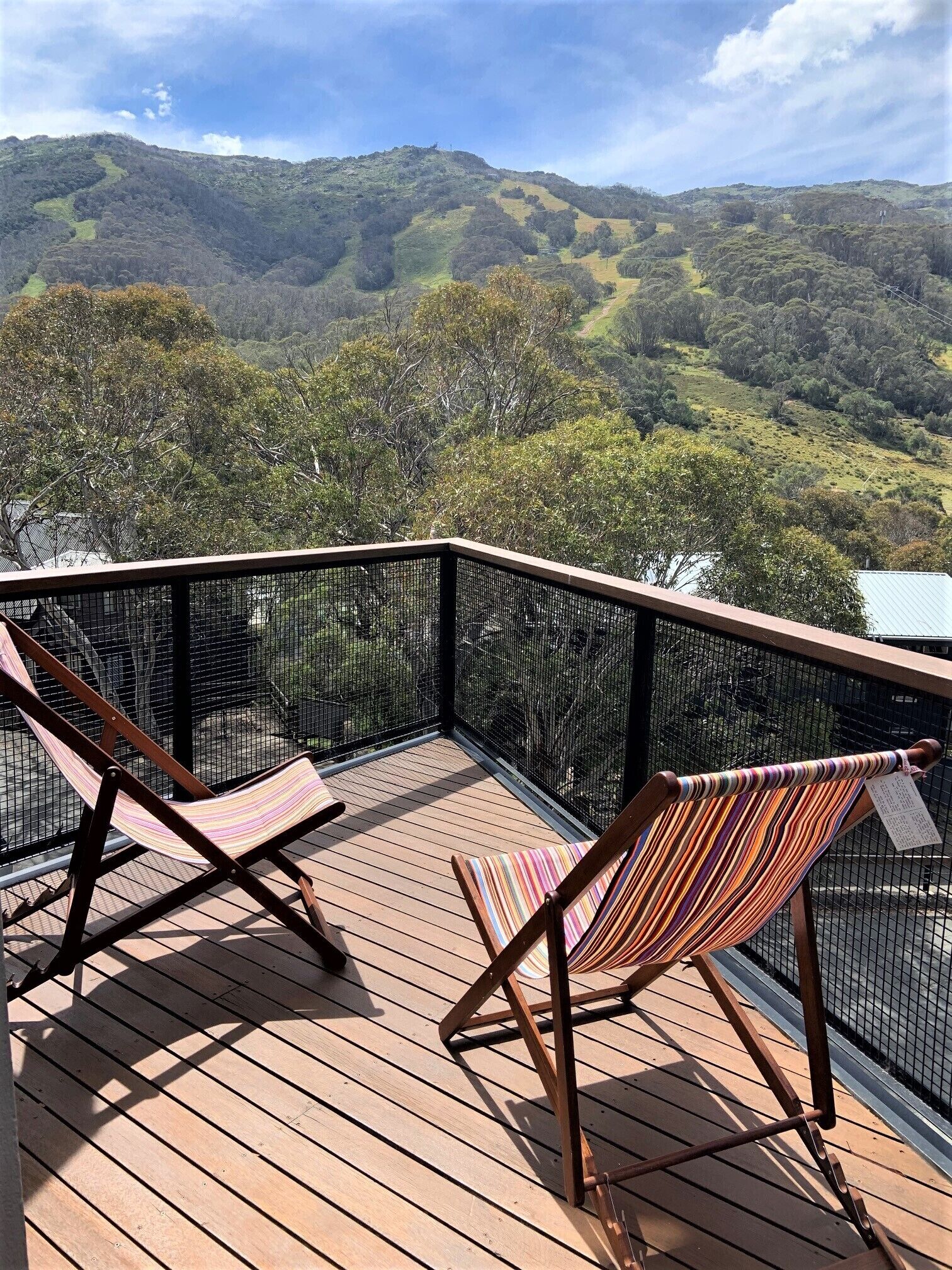 Thredbo Village Family CHALET - AMAZING VIEWS - central village — image 7