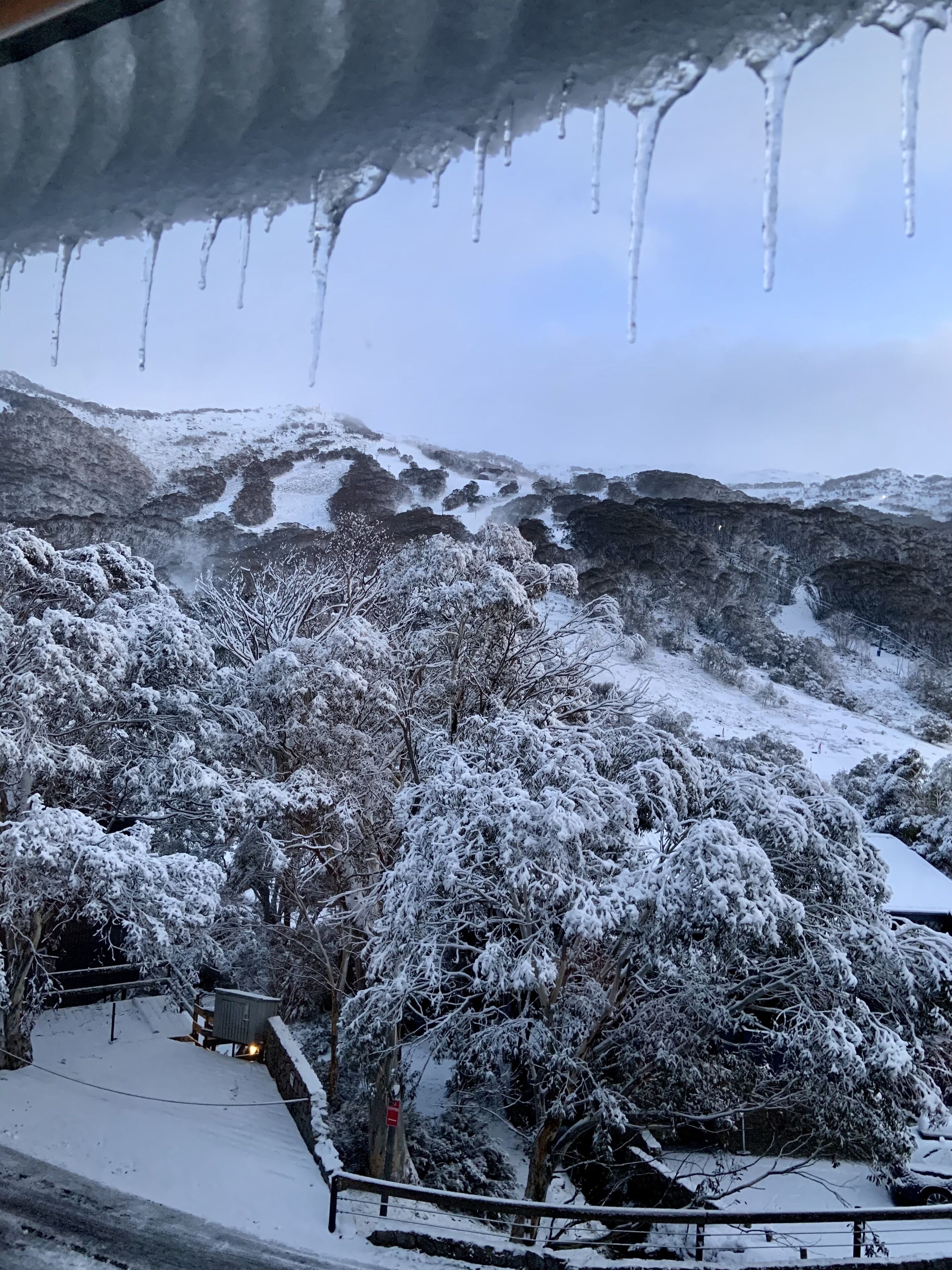 Thredbo Village Family CHALET - AMAZING VIEWS - central village — image 29