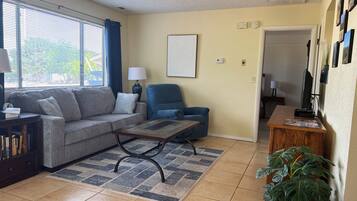 Smart TV, DVD player, books