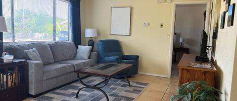 Smart TV, DVD player, books