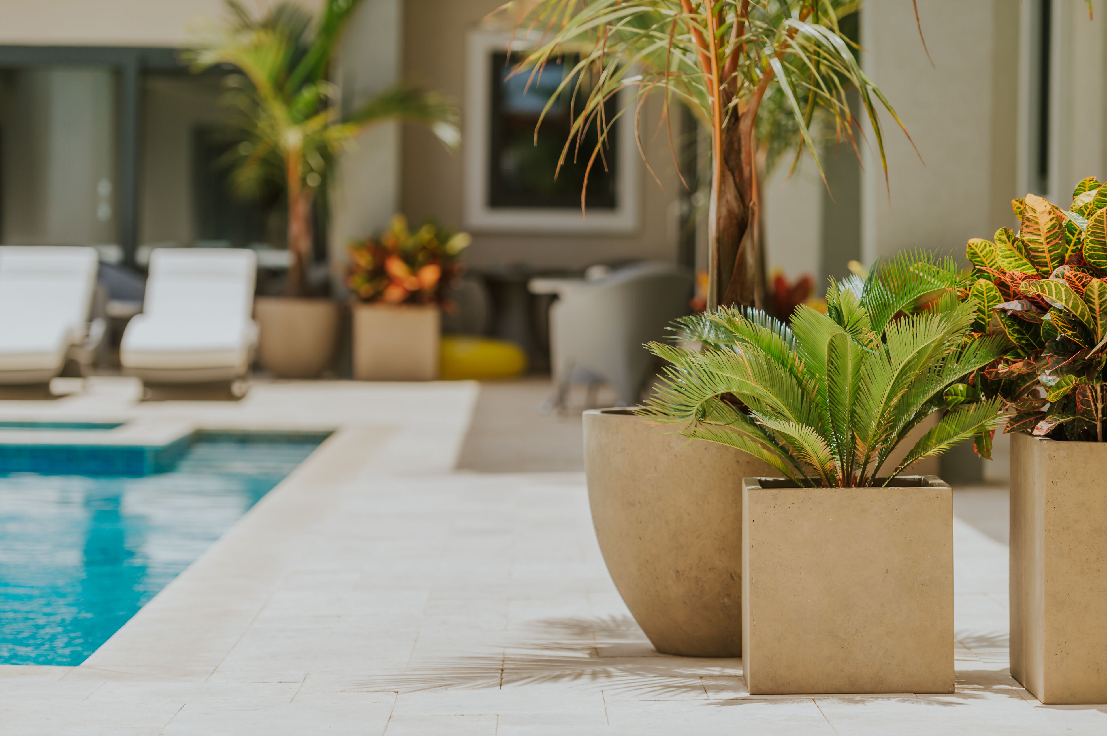 Zona junto a la piscina con sillones de descanso, una piscina y plantas en macetas.