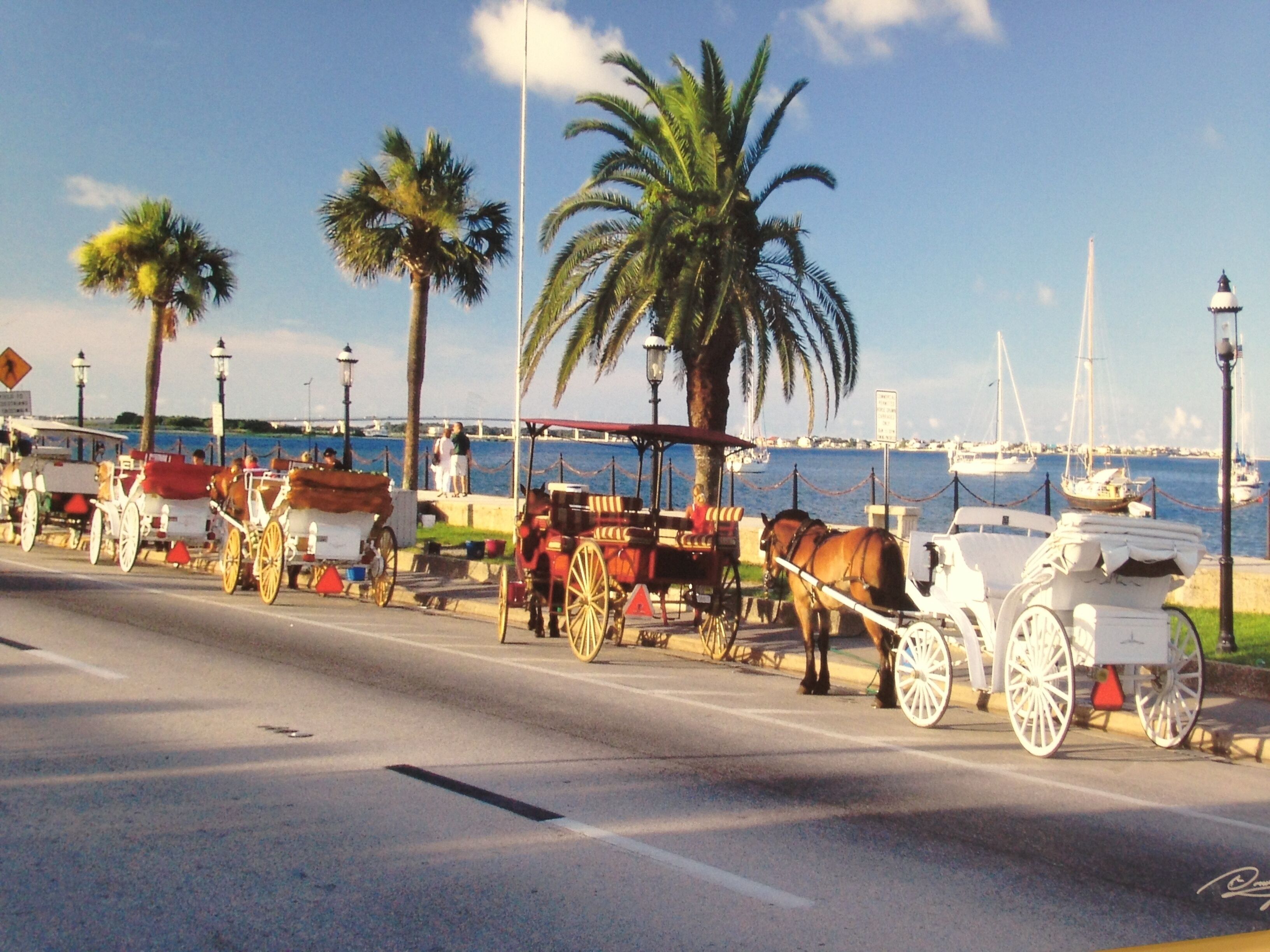 Une rue bordée de bâtiments donnant sur le port, où l’on peut voir des calèches, des palmiers et, au loin, une marina.