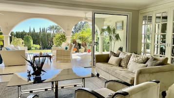 TV connectée, cheminée, lecteur de DVD, livres