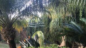 A garden with various plants, including palm trees and a metal structure. - Luxury bright villa in Marbella Golden Mile with great sea and mountain views (marbella)