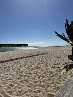 Ein sandiger Strand mit blauem Himmel, einer Palme und einer entfernten Küstenlinie.