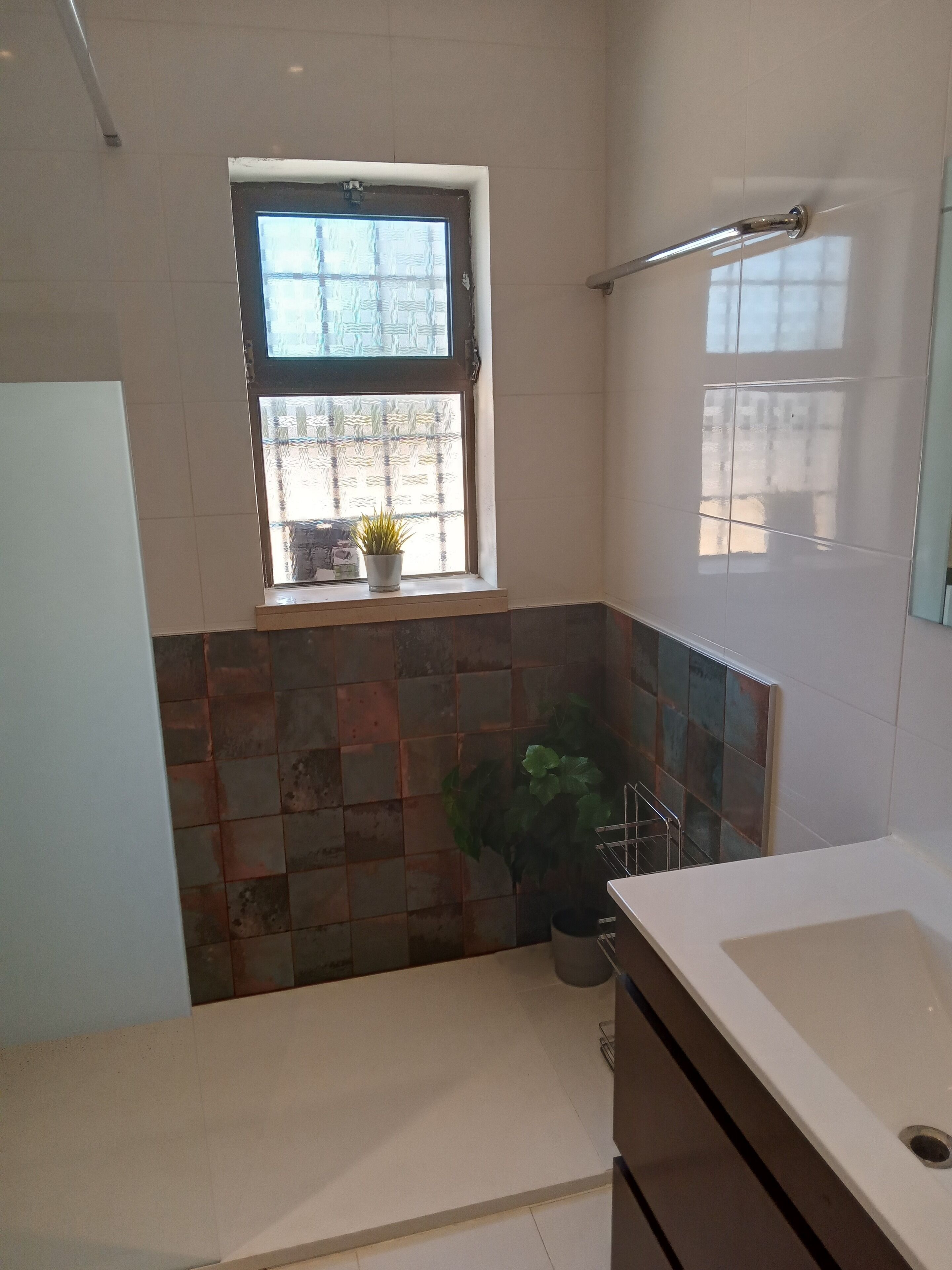 A bathroom with a window, a sink, a shower, and a potted plant.