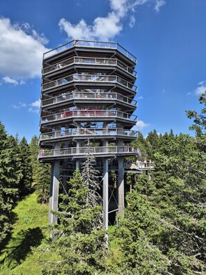 Una torre de observación de varios niveles con plataformas para apreciar las vistas, rodeada de un bosque denso.