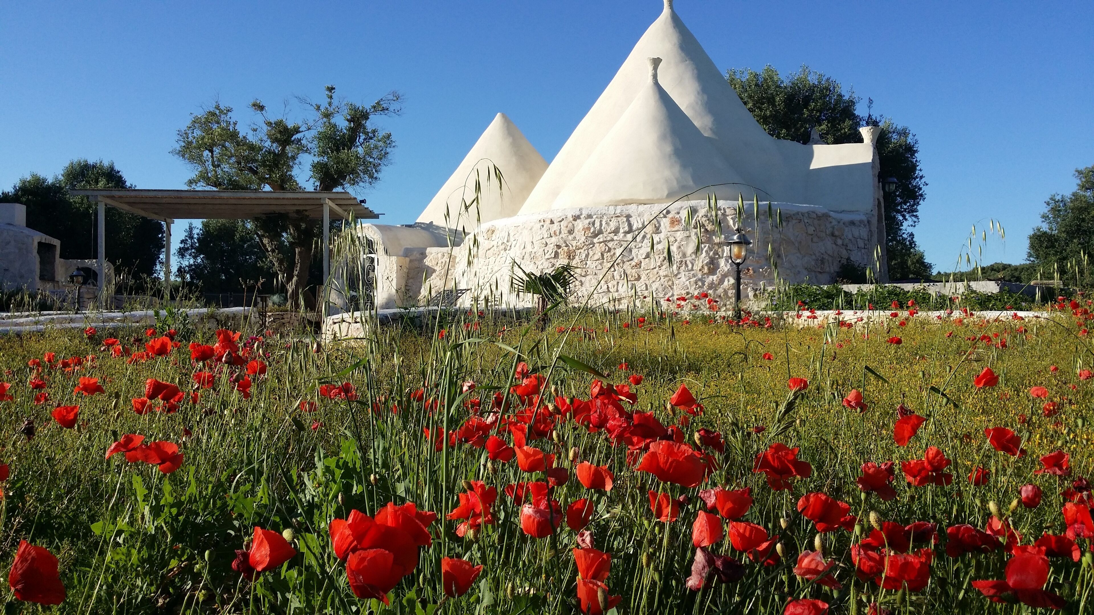 A building with a stone base and white conical roofs, surrounded by a field of red poppies.
