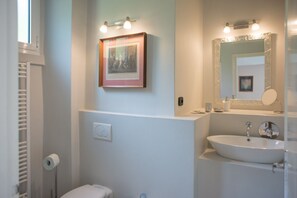 Shower, hair dryer, bidet, towels