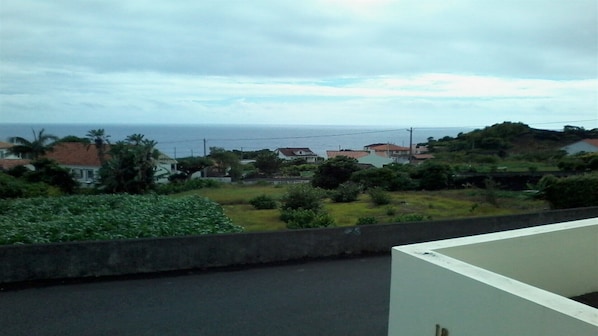A residential area with houses, greenery, and a view of the ocean.